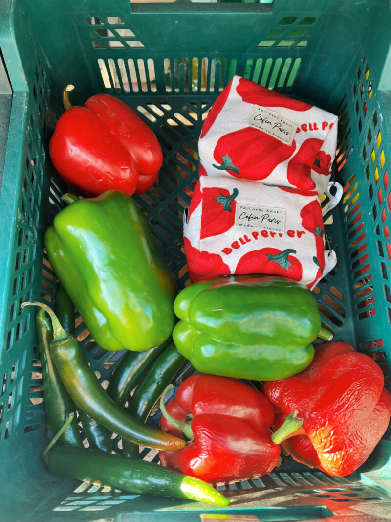 Trousse de toilette XS | Paola